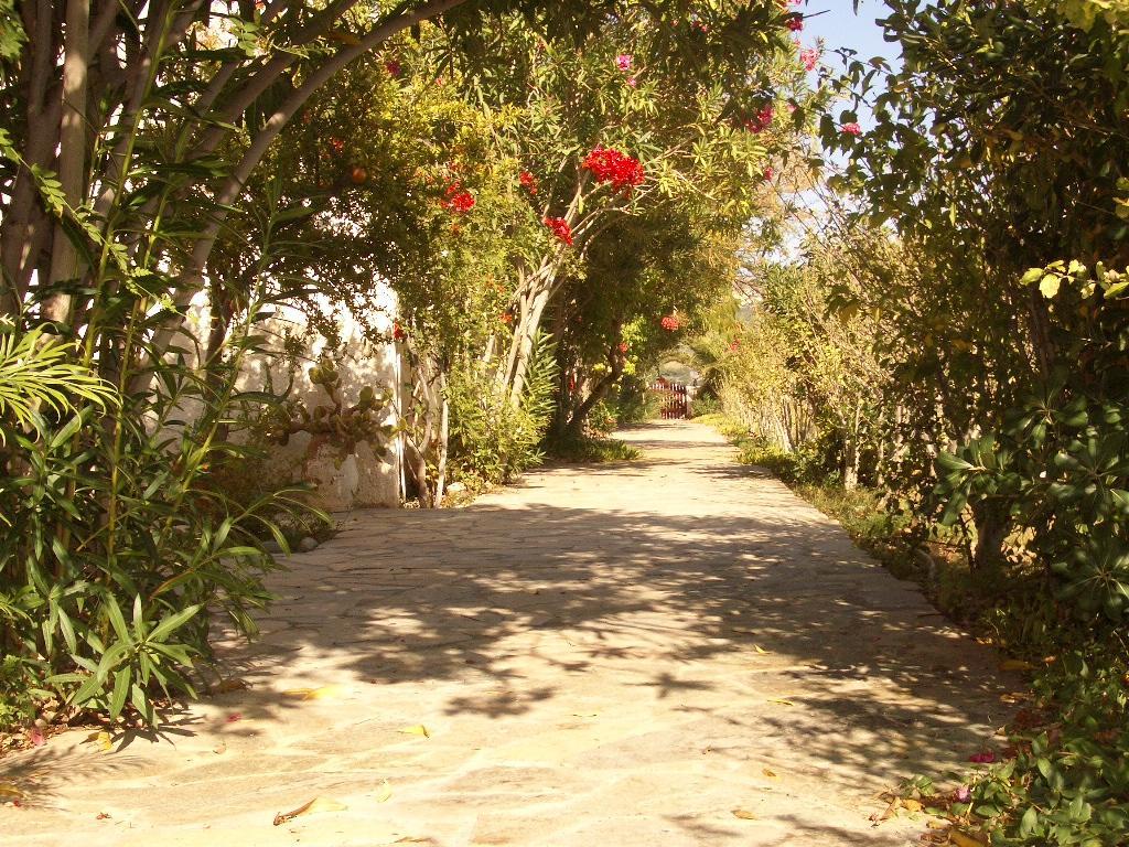 Panmar Apartments Μακρύγιαλος Εξωτερικό φωτογραφία